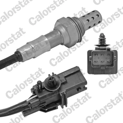 Oxygen Sensor